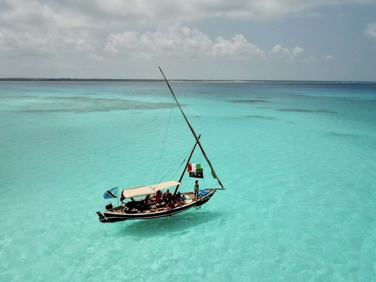 About Mystique Roots